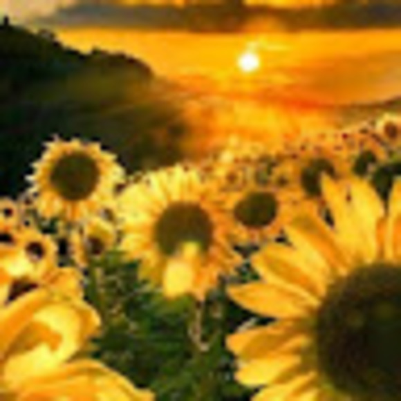 Meet your Posher, Tonya - Picture 1 of 1